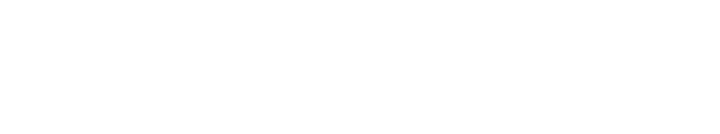 ANNEX